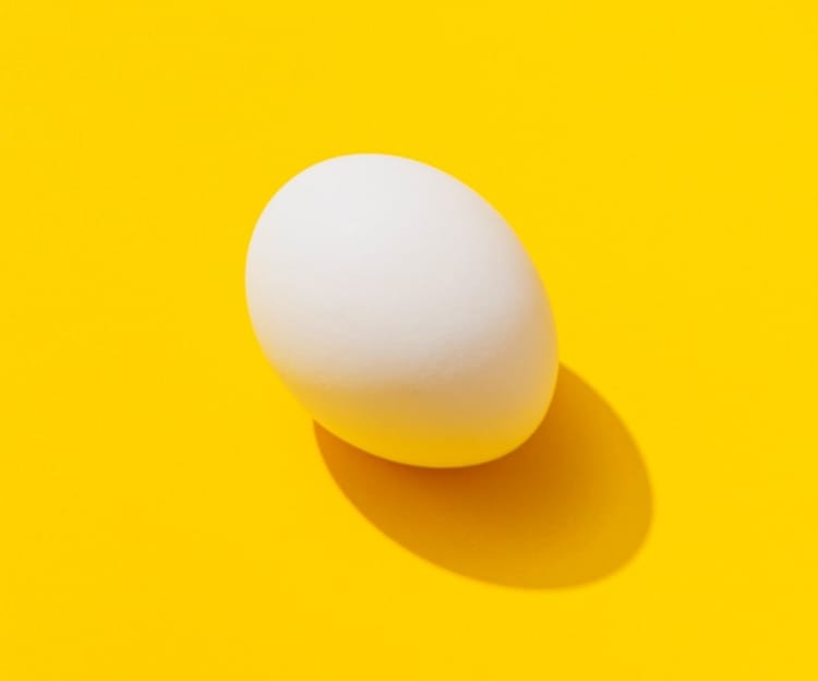 white egg on yellow background